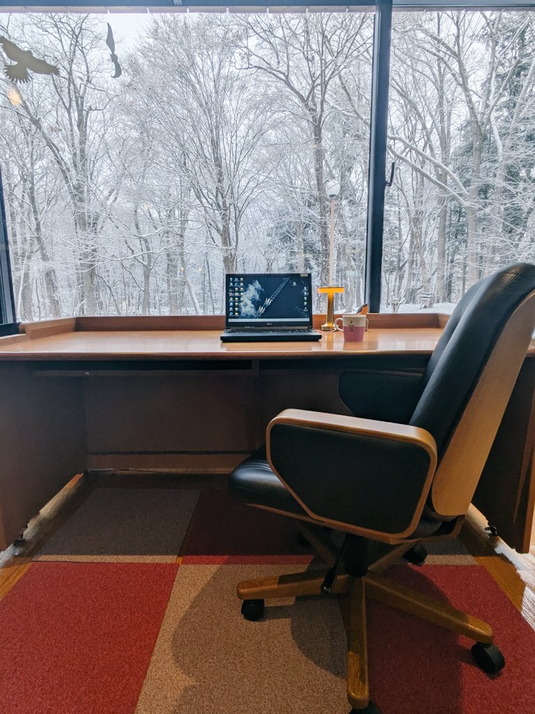 ここは北海道にある我々の職場

誰でも利用出来るコワーキングスペース

雪が降った翌日、ここから見える景色は何年いても見惚れてしまう

時間と共に木に積もった雪は溶けてなくなります

たった数時間の特別な時間　ぜひ