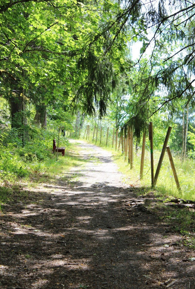 KerstiSandstrom's tweet image. A path.👋😊🌞
#forest #wood #tree #NatureBeauty #NatureTherapy #naturelovers #nature #NaturePhotography #photograghy