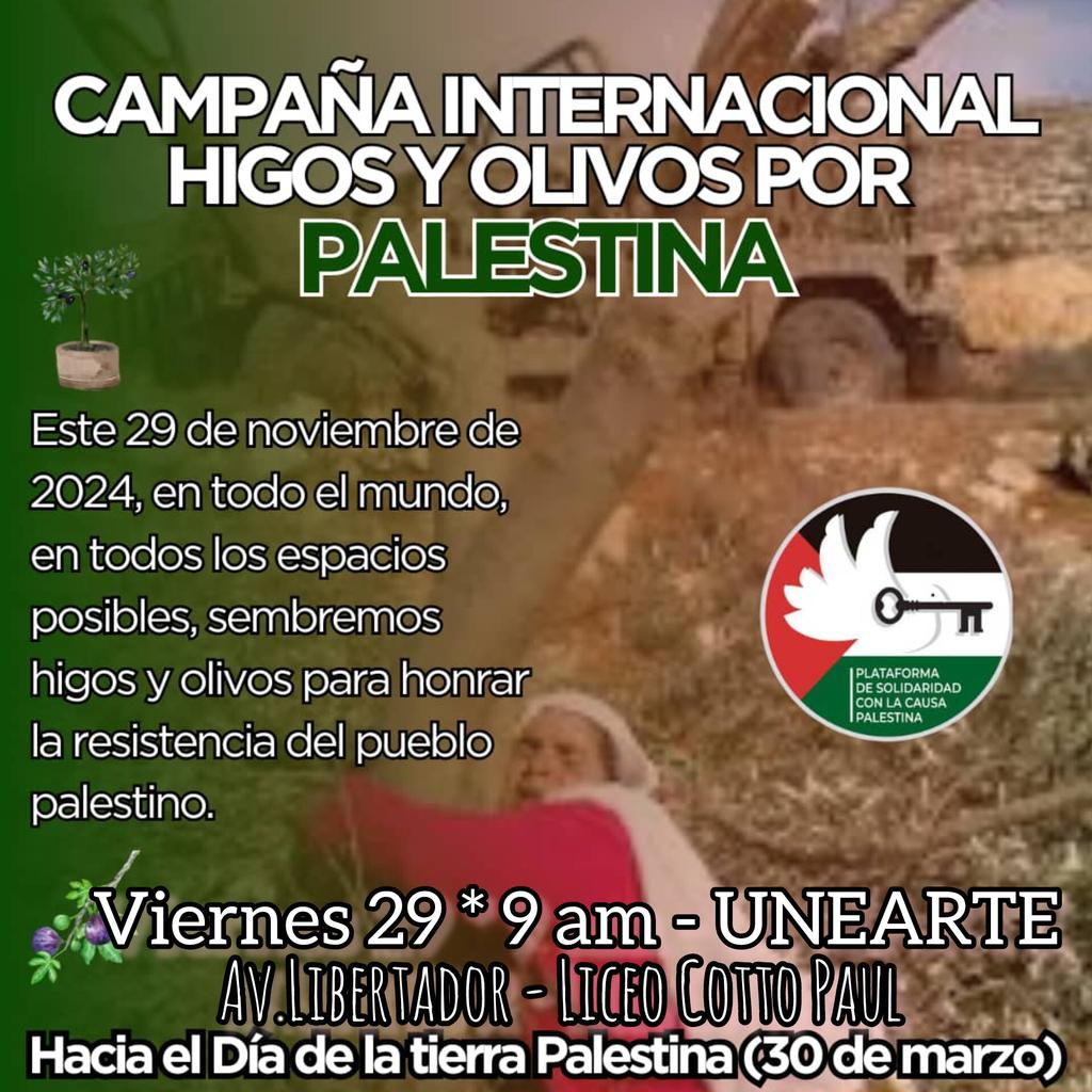 aquenemano's tweet photo. Higos y Olivos por PALESTINA.
ASISTE VIERNES 29 - 9AM 
UNEARTE - LICEO COTTO PAUL https://t.co/CrW9UpPbbR