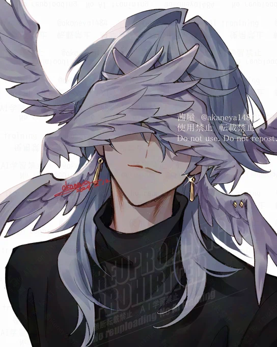 虚数男子 