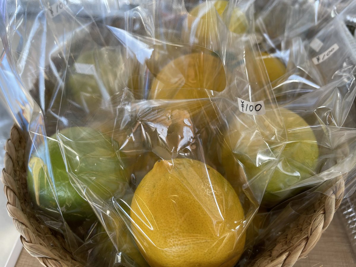 MAUU39283469's tweet photo. 12月15日（日）は 『Natural food Mauu day』🥰
錦建築有限会社さん駐車場　11時〜15時
刈谷市西境町蒲生池182-1

🌟綿菓子　新発売❣️
🌟特別栽培国産レモン🍋
　皮まで美味しいレモンです😋

#グルテンフリー #小麦アレルギー　#添加物フリー　#オーガニック #アニマルウェルフェア #PFOS #PFOA https://t.co/mlBFRH4Y10
