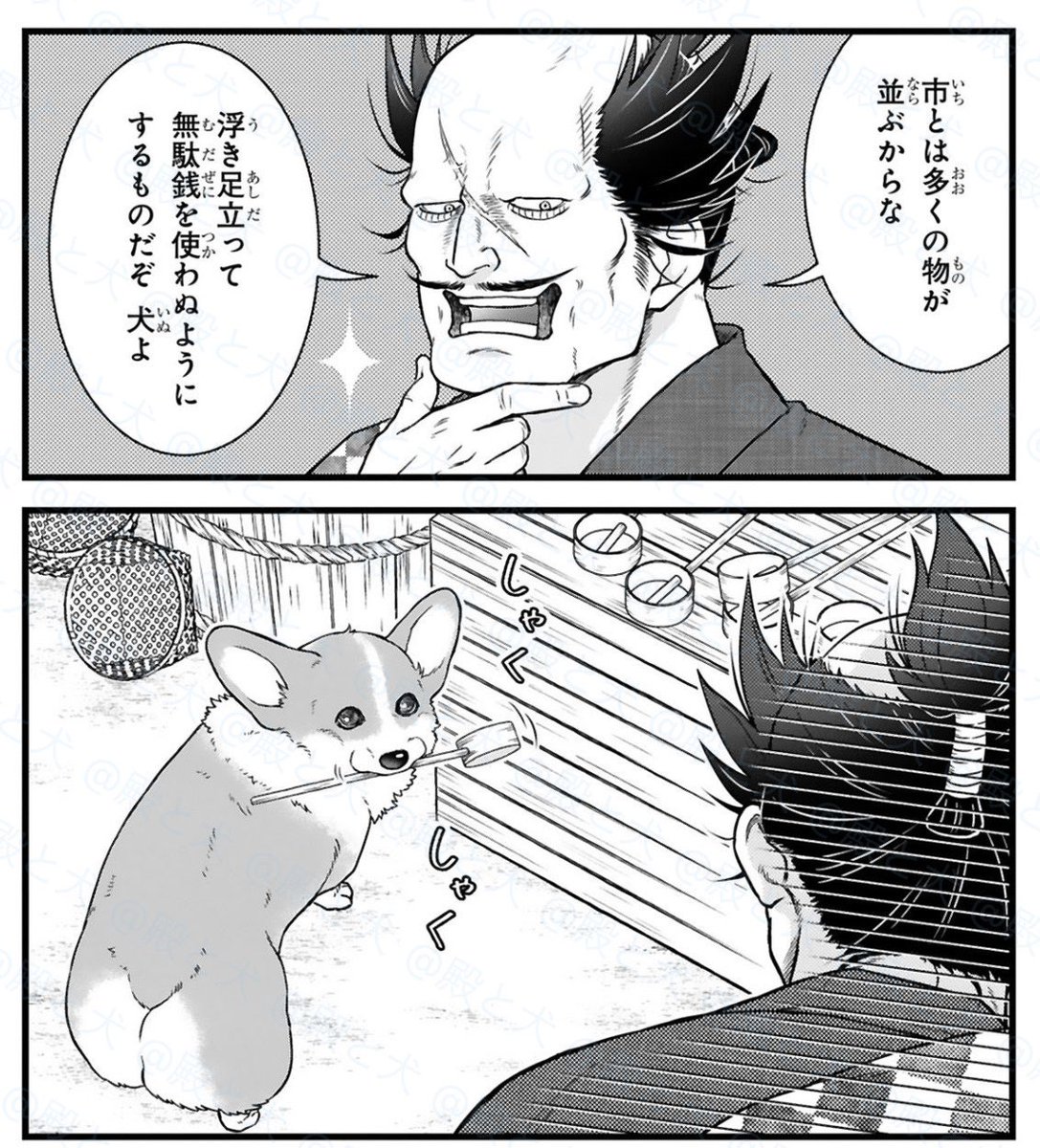犬がくわえているのは…⁉️

#殿と犬🐶 