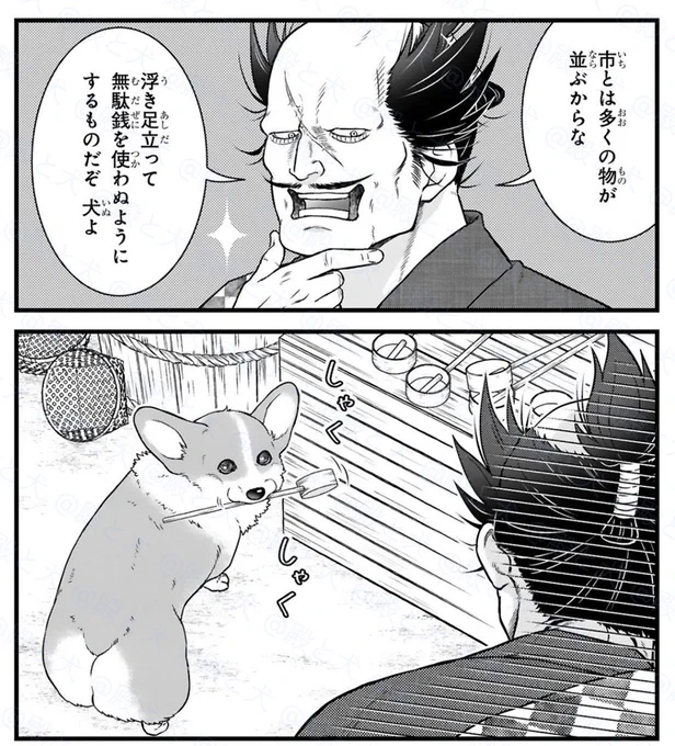 犬がくわえているのは…⁉️

#殿と犬🐶 