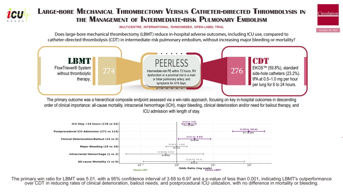 ICU REACH Newsletter (December 12, 2024) wix.to/L2RDYxE