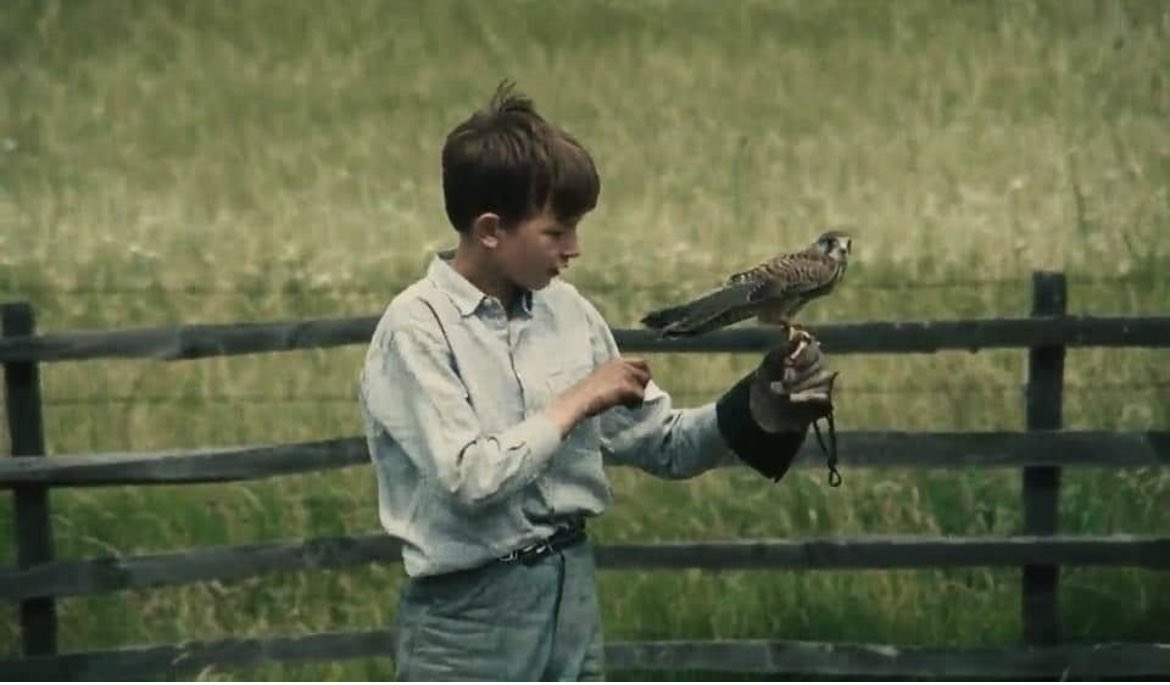 Kes (Kerkenez), 1969
Yön: Ken Loach
Aile ve okul yaşamında mutsuz bir işçi çocuğu olan Billy, kendini ifade etmenin yolunu bir şahini eğitmekte buluyor.
Filmde İngiltere’deki ekonomik eşitsizliğin eleştirisi, hem aile yapısı hem de eğitime sirayet edişi ile ortaya konmuş.