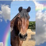 Photo by RPH Dexter (Unique) (@DexterUnique)