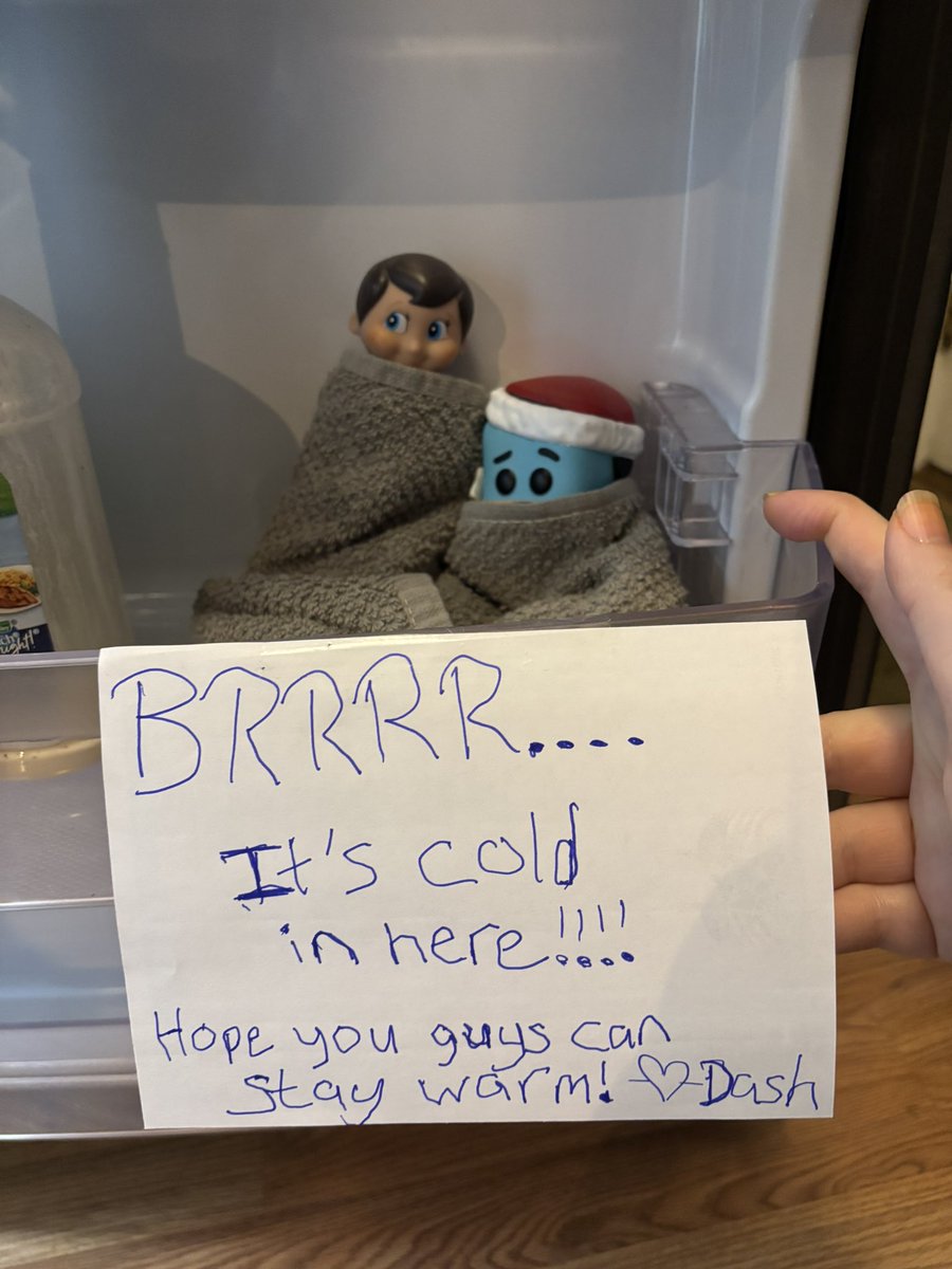 cutecolleen85's tweet image. Dash must not have realized that it’s cold in the fridge when he decided to hide there last night!! 😂😂

#adventureswithDash #elffun #Christmas2024
