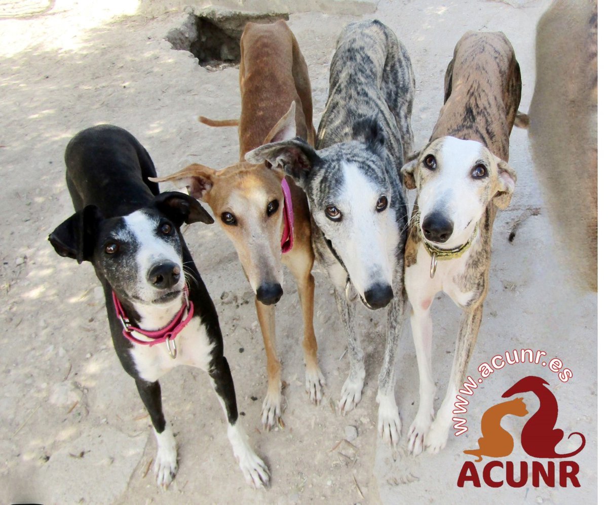 DVP Solar tweet media