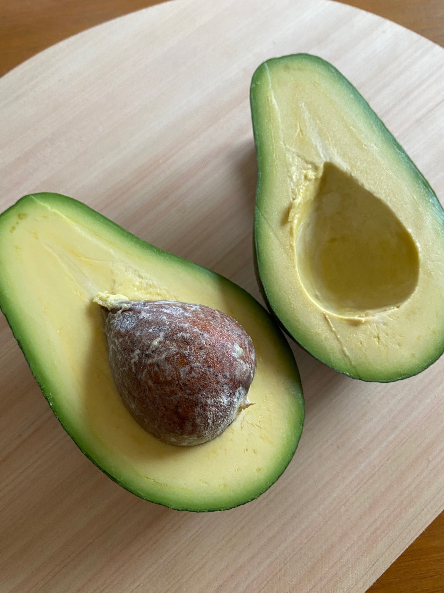 アボカド スチュワート フェルテ 【公式通販】