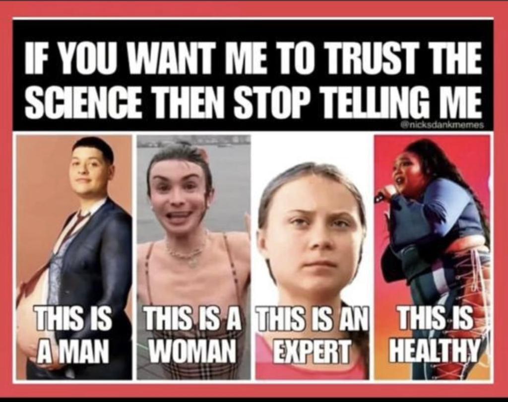 Patriot #LabourOut 🇬🇧🇬🇪 tweet media