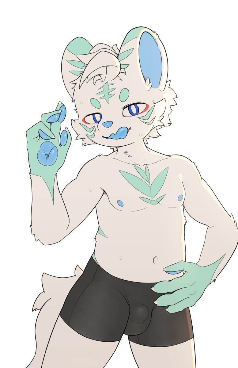 曲奇UWU tweet media