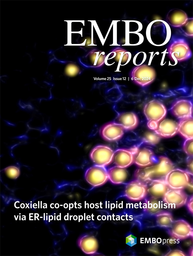 EMBO Reports (@emboreports) on Twitter photo The December issue is online:
embopress.org/toc/14693178/2…
The cover features work by Stacey Gilk <a href="/sdgilk/">Dr. Stacey Gilk</a> <a href="/UNMCCOM/">UNMC College of Medicine</a> identifying a novel #bacterial effector protein that mediates ER-LD #membrane contacts to regulate host #lipiddroplets.
-> embopress.org/doi/full/10.10… The December issue is online:
embopress.org/toc/14693178/2…
The cover features work by Stacey Gilk <a href="/sdgilk/">Dr. Stacey Gilk</a> <a href="/UNMCCOM/">UNMC College of Medicine</a> identifying a novel #bacterial effector protein that mediates ER-LD #membrane contacts to regulate host #lipiddroplets.
-> embopress.org/doi/full/10.10…
