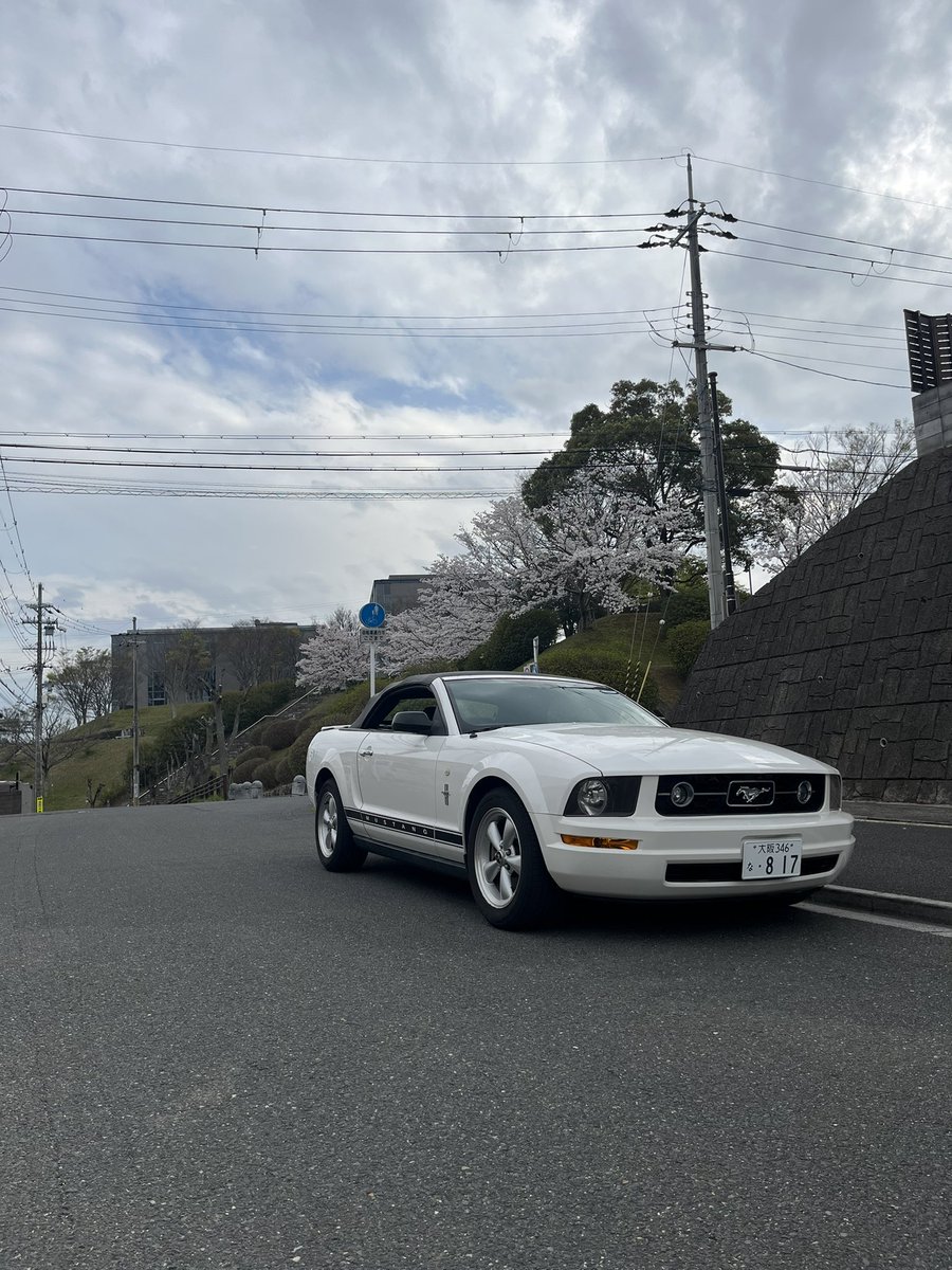mustang817's tweet photo. 夜タング昼タング https://t.co/MarAioB1AL