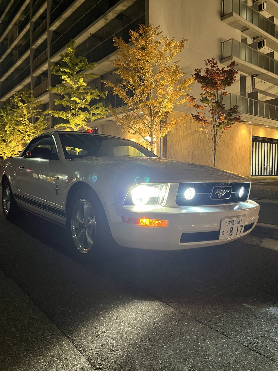 mustang817's tweet photo. 夜タング昼タング https://t.co/MarAioB1AL