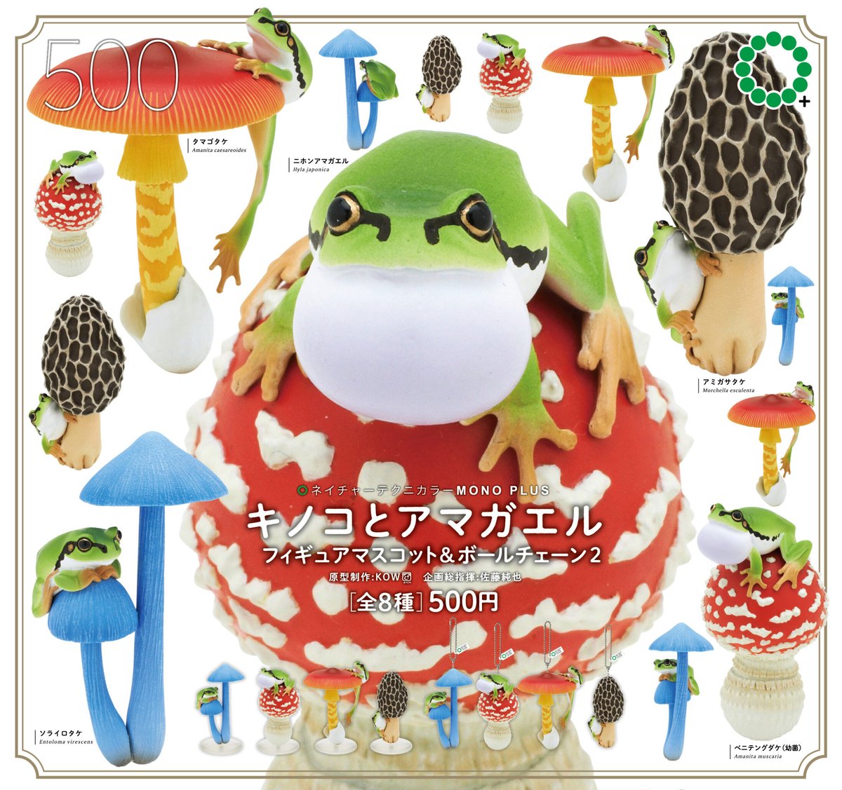 📢再販商品のご紹介 / NTC MONO+ 「キノコとアマガエル フィギュア