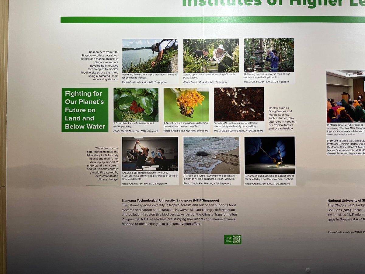 Earth Observatory SG tweet media