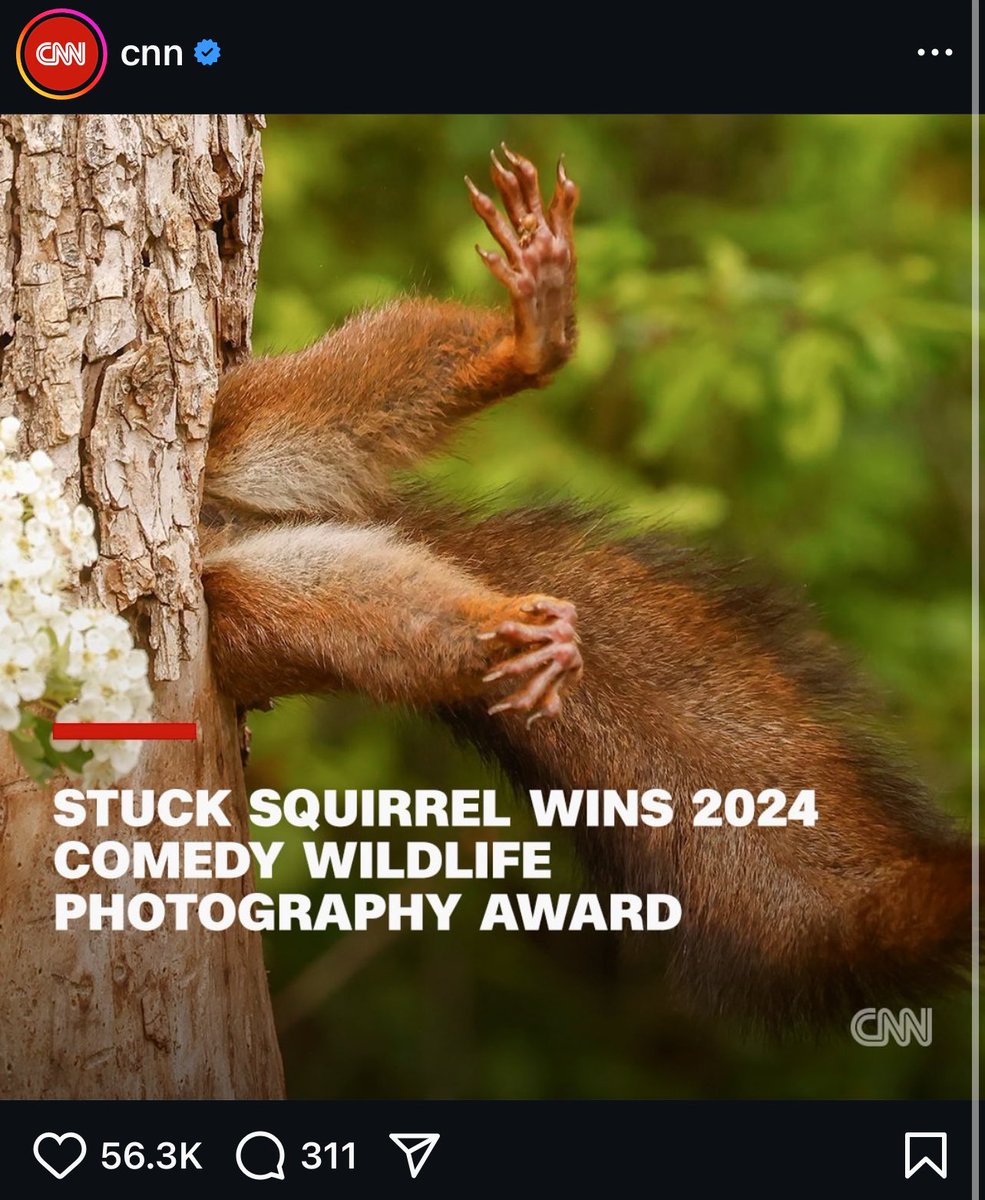 Thanks CNN i guess I’m more viral than $PNUT in 2024