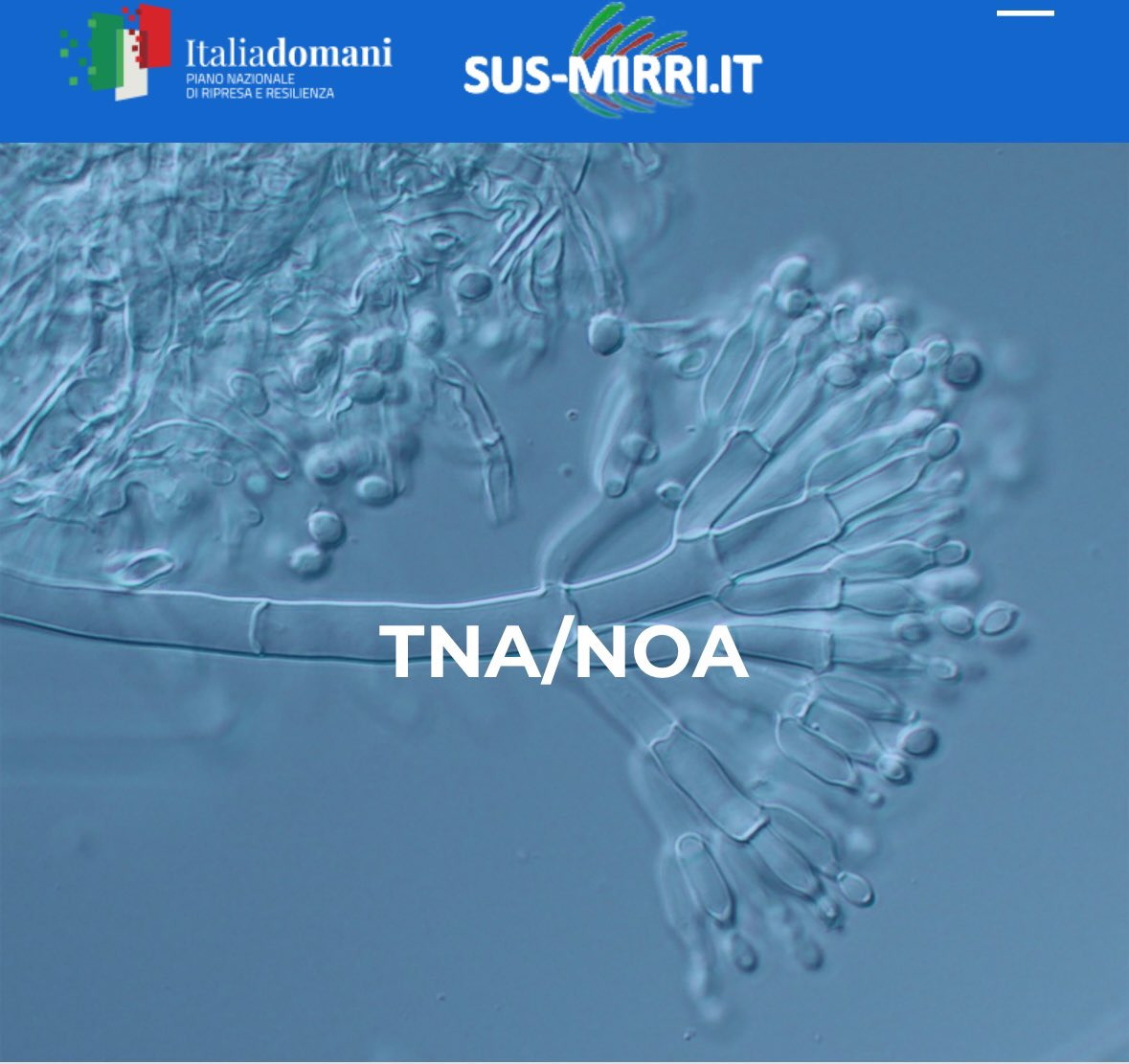 📣 Sharing a truly exciting opportunity for scientists! 

Applications for TNA/NOA in the frame of the <a href="/ItMirri/">MIRRI_IT</a> project are officially open until January 15th. 

Stay connected! 😉 🙌🏼

More information 👇🏽
sus-mirri.it/tna-noa/