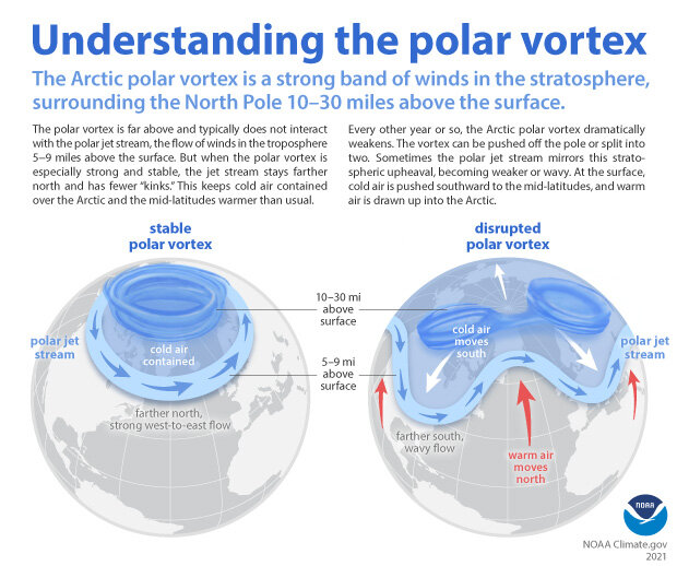 ECOWARRIORSS's tweet photo. Study confirms Arctic warming linked to severe cold spells in UK, Europe
Arctic warming weakens Jet Stream that normally locks cold air in Arctic but in a weakened state allows cold air to drift further south and warm air into Arctic https://t.co/FdwvhJxwOB via @physorg_com https://t.co/w5nZqTi4GE
