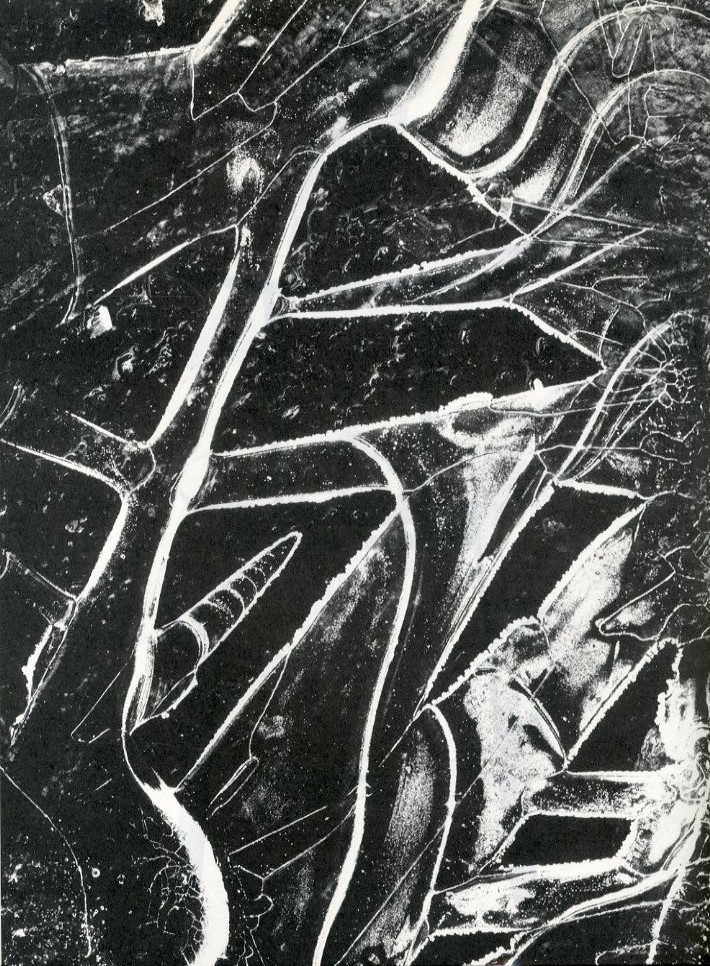 Maximilian Kilworth tweet media