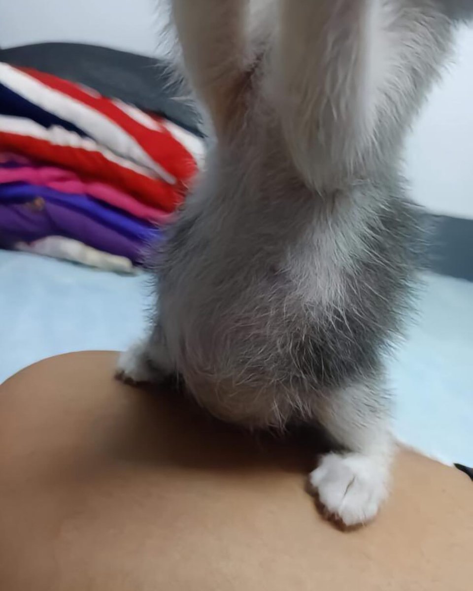 Full of milk
