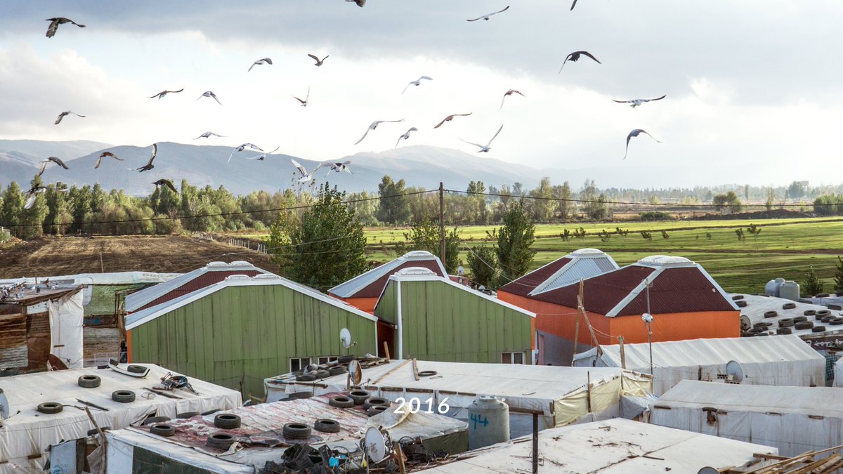 CatalyticAction tweet media