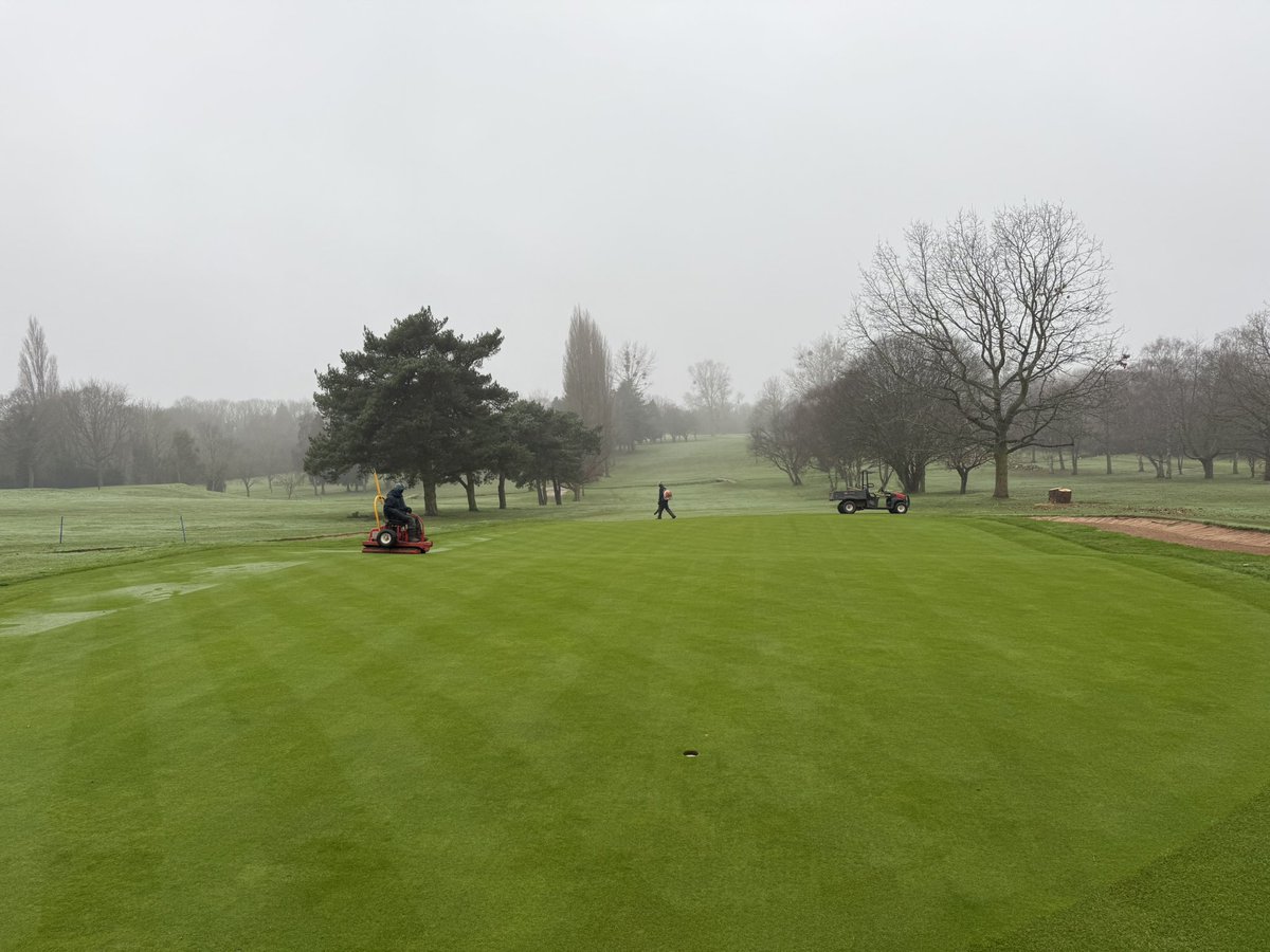 Chris Low tweet media