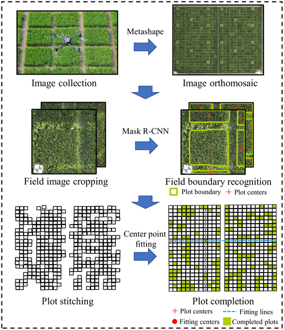 PPhenomics's tweet photo. 🌾 New study uses UAVs and AI to quantify rice panicles, boosting yield. 📈 Automated image analysis via Plot-Seg and Panicle-ViT improves accuracy. 🚀 Accelerates rice breeding for high-yielding traits. #AgricultureTech #RiceYield
Details: https://t.co/fRvdQ7NjWP https://t.co/2OwnAOBCX7