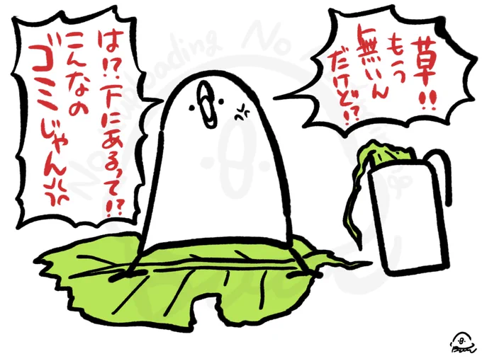 菜っ葉は茎派文鳥 