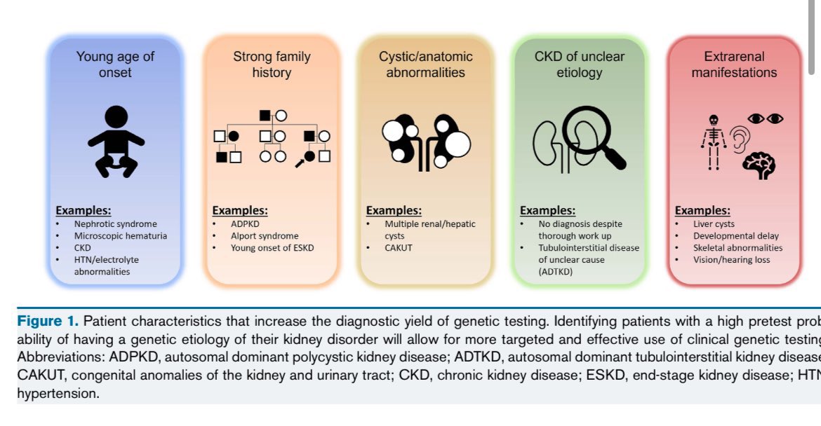 🧬When to order genetic test  in Nephrology 🫘🫘

ajkd.org/action/showPdf…

<a href="/AJKDonline/">AJKD</a>