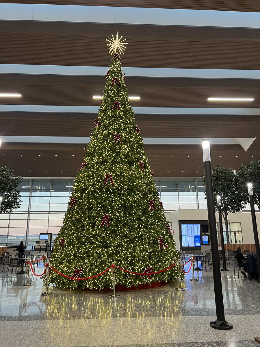 It has been a WILD 3.5 days in Nashville with Impact Eleven. We talked, learned, laughed, cried and danced. Well some danced, some ‘danced’. I met a lot of incredible people and my brain hurts from BootCamp and MasterClass. 2025 is going to be incredible!