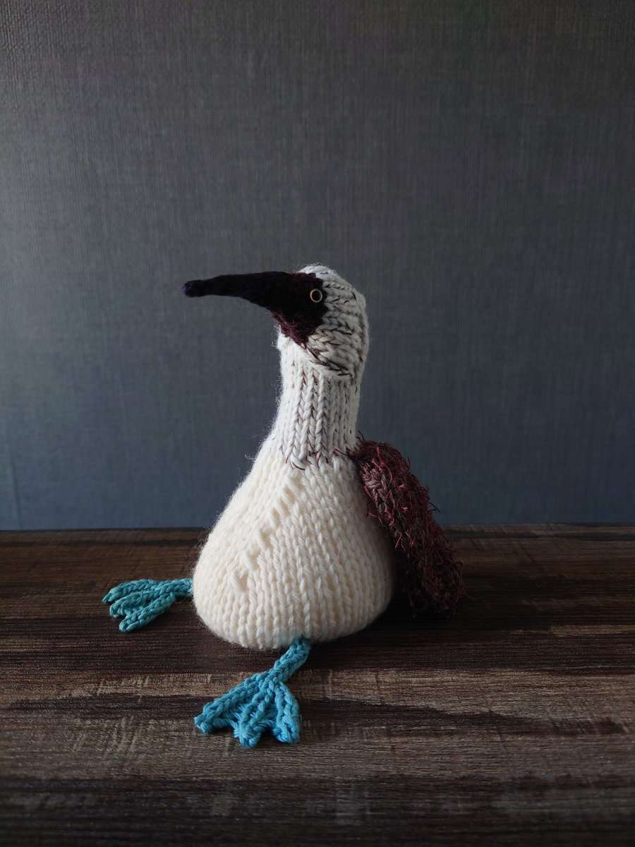 soruni_h's tweet image. アオアシカツオドリ
くちばしも糸で編んだ方がかわいいみたい
#あみぐるみ
#棒針編み
#棒針編みのあみぐるみ
#ぼうぐるみ
#amigurumi