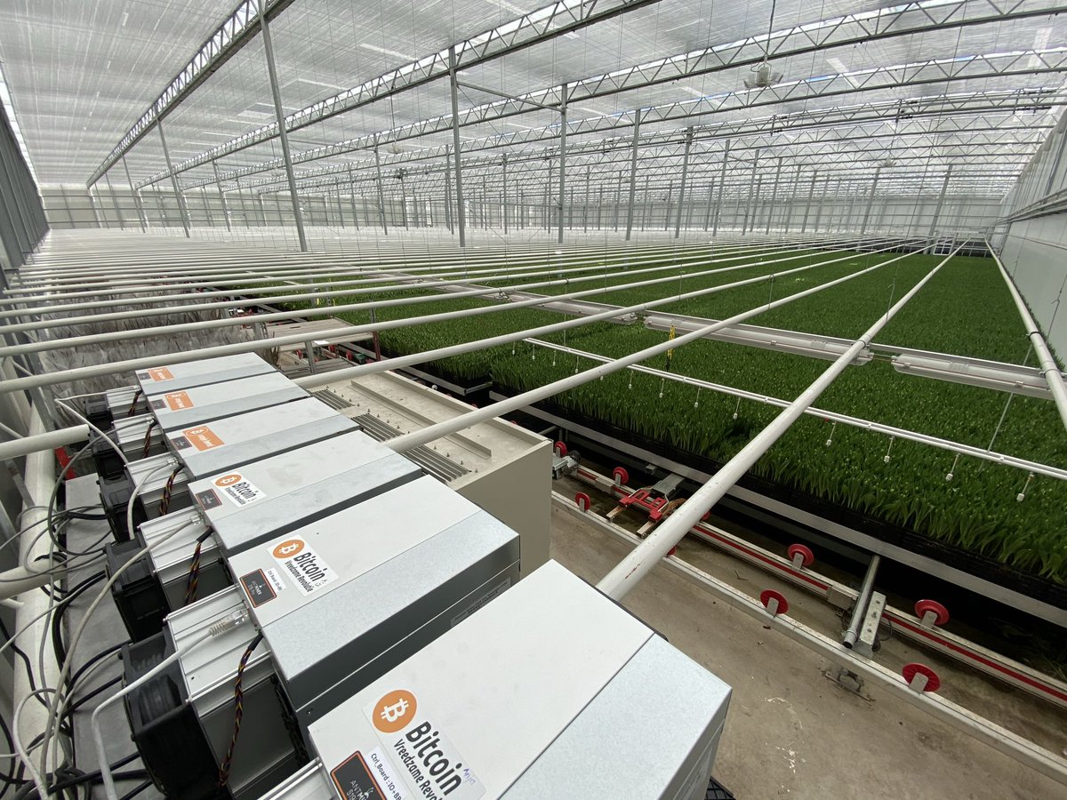 BloemBitcoin's tweet photo. Enjoy your holidays. We have been growing #bitcoin tulips 🌷 for a few years now… @DominicFrisby explains that the tulip bubble actually kicked off our golden age… greetings from the Netherlands, #bitcoin capital of the world with @bitcoinstad https://t.co/TFAWBMDNmT