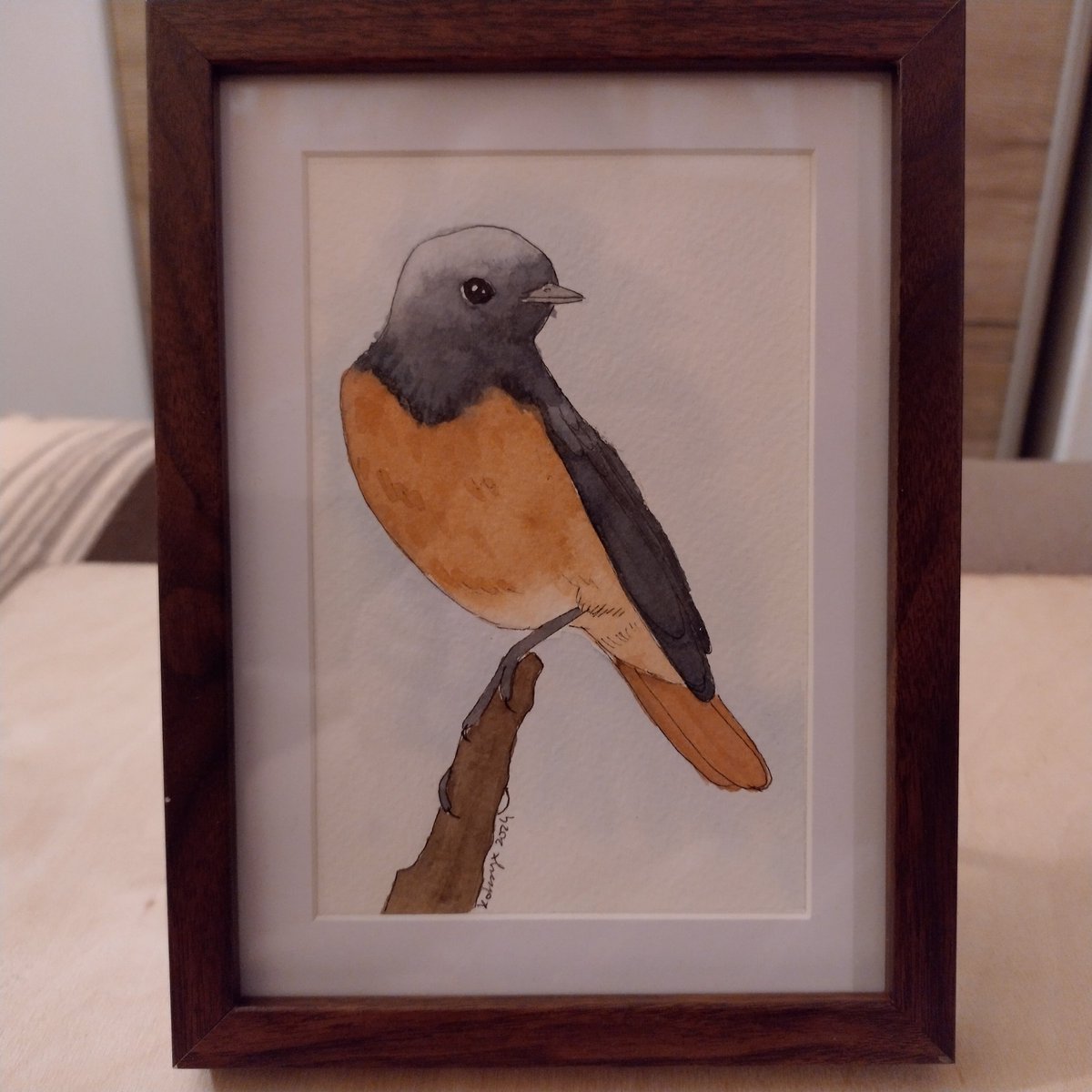 Another bird related Christmas gift, a watercolour painting of a common redstart. For the pose I used one old picture of a black redstart by <a href="/CarlBovisNature/">Carl Bovis</a> but I coloured it differently to match the species.