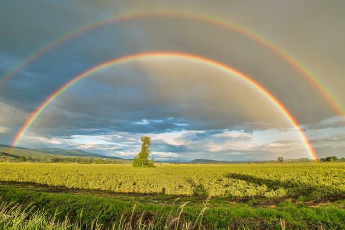 Get airdrop
Address: 0xBDE9543Edb7F567a90b220ebEeC77d82093C698E

“Join the REAL RPG and earn $MTT”
<a href="/Meteo_Kingdom/">Meteorite Kingdom</a>