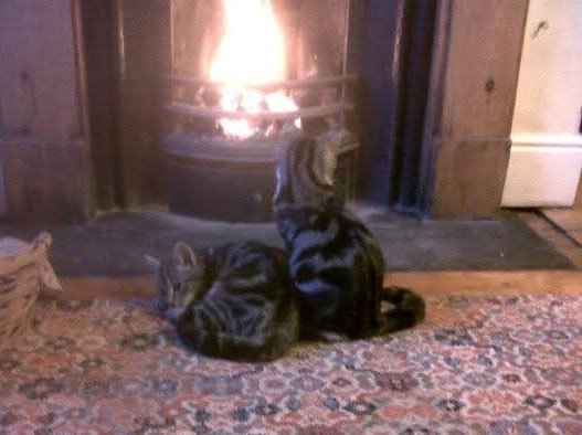 #throwbackthursday 2012