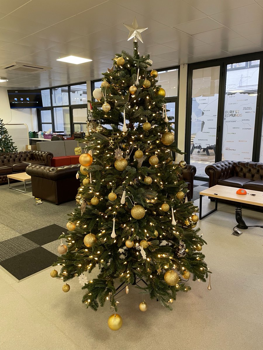 UniofSuffolk's tweet photo. It's feeling festive around campus - here's a few of this year's Christmas trees! #UniOfSuffolk #HelloSuffolk https://t.co/YYUbfTB8vY
