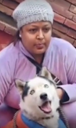 TaruniGandhi's tweet photo. Amritsar's political scene just got a tail-wagging twist! 
Congress worker, denied ticket, nominates her dog, Jimmy, for civic polls. 🐶📜 

#FurTheVote #PawsForChange #PunjabMCPolls2024