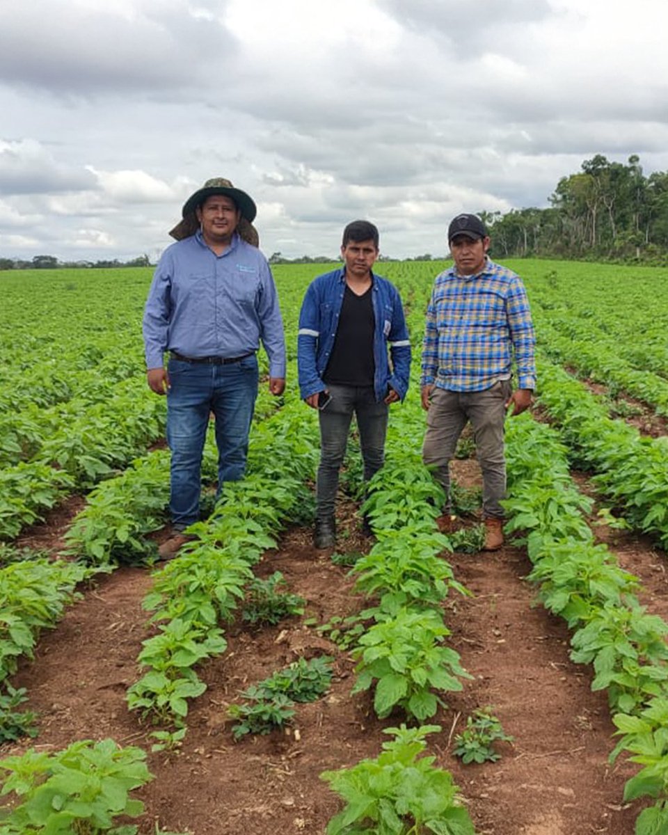 SimaAgtech's tweet photo. Nos llena de orgullo ver cómo nuestros clientes en Bolivia 🇧🇴 utilizan #SIMA para gestionar sus cultivos y mejorar su productividad.

Desde los campos de Santa Cruz hasta los valles y altiplanos, SIMA ya está transformando el campo boliviano.

¡Sumate vos también!😉 https://t.co/6ceisqRM94