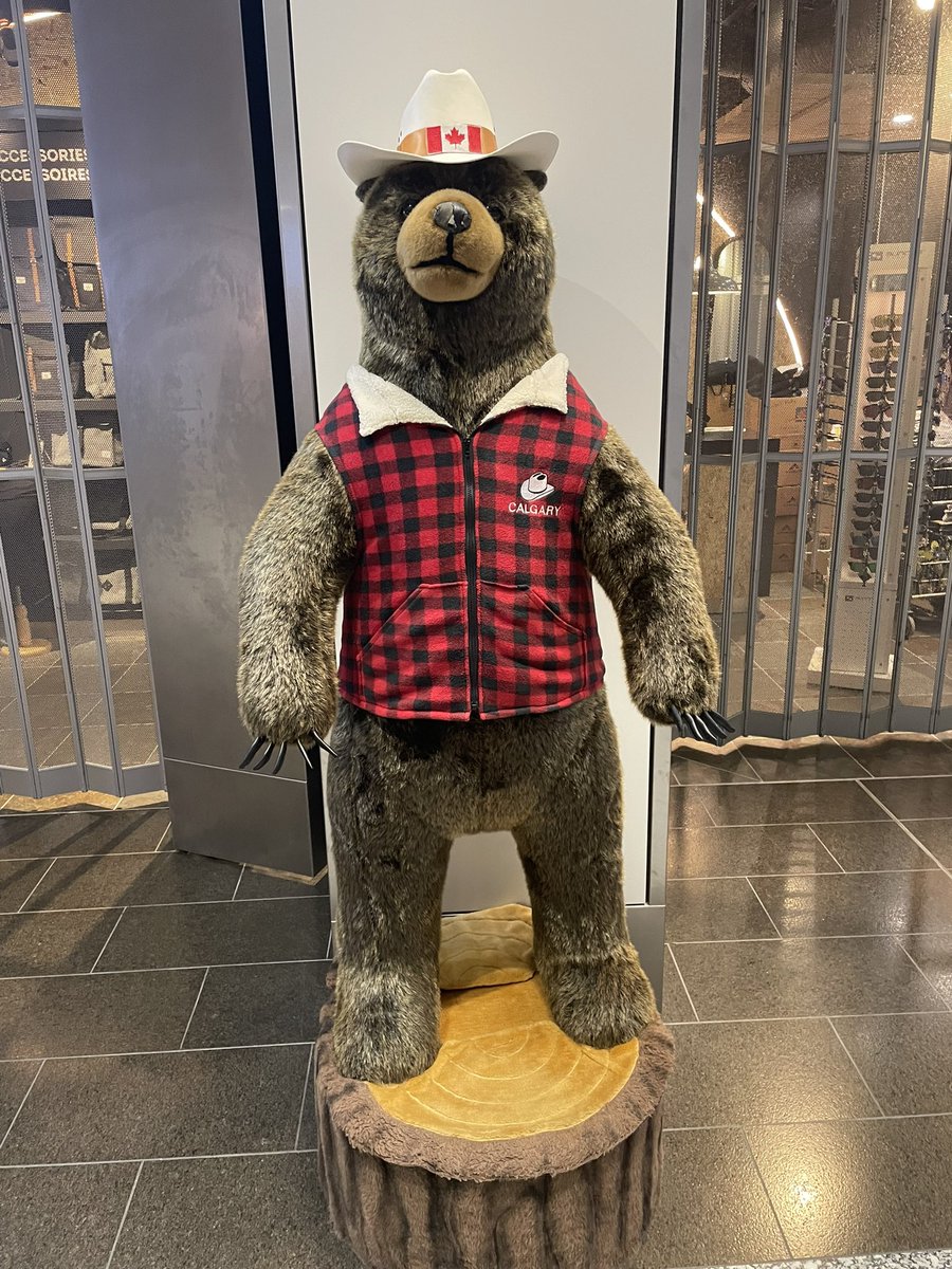 PappaBearGaming's tweet photo. Go Calgary! The bear presence is strong here! https://t.co/xPU2fKlmOZ