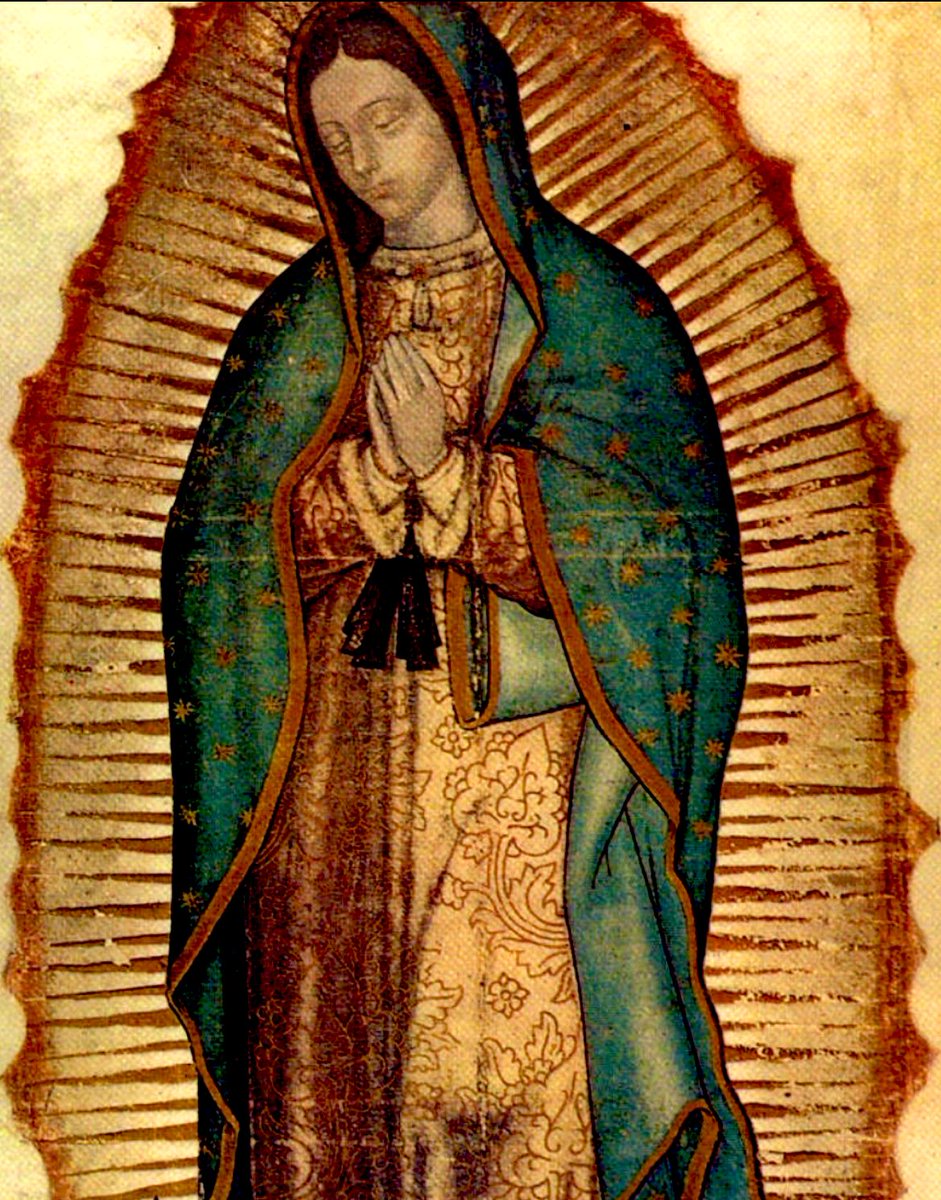 Am I not here who am your mother? Are you not under my shadow and protection? 
Am I not the source of your joy?
Are you not in the hollow of my mantle, in the crossing of my arms? 
Do you need something more? 
Let nothing else worry you 
or disturb you.
-Our Lady of Guadalupe