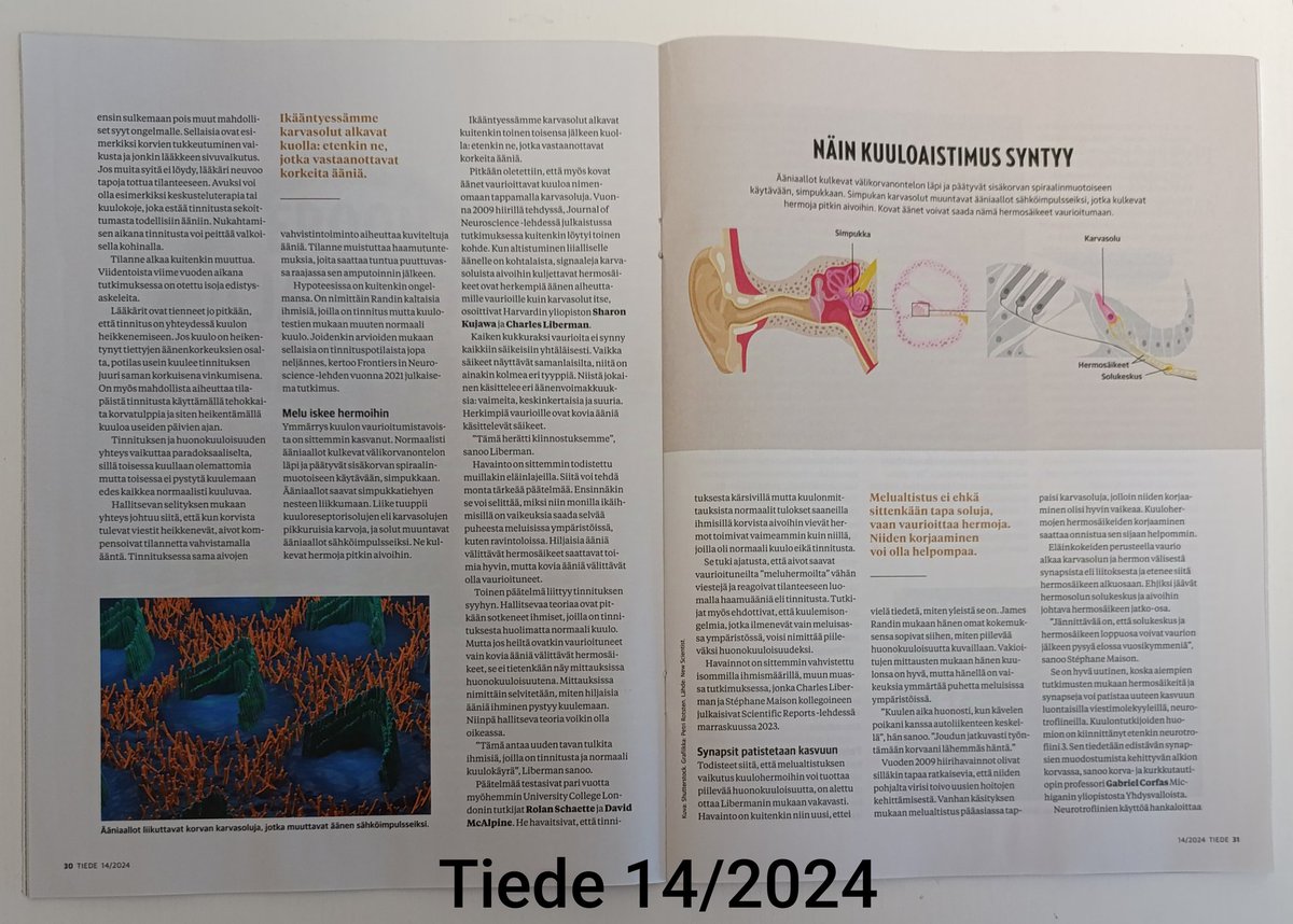 Juha_Nyman's tweet photo. #kuulo 🦻Hyvä juttu Tiede -lehdessä 14/2024 tinnituksesta, kuulosta, kuulemisesta ja kuulorajoitteisuudesta. Digilehti : https://t.co/X76zFIdzTF https://t.co/cZDiViPQK8