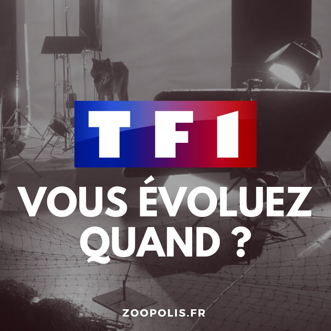 😖Des #animaux sauvages emprisonnés à vie pour des tournages dans les films "Sarah Bernhardt, la divine" et "Jamais sans mon psy" qui ont le soutien de #TF1 !

<a href="/GroupeTF1/">Groupe TF1</a> <a href="/TF1/">TF1</a> <a href="/TF1Studio/">STUDIO TF1 Cinéma</a> @newenstudios SVP prenez position contre l’exploitation animale.