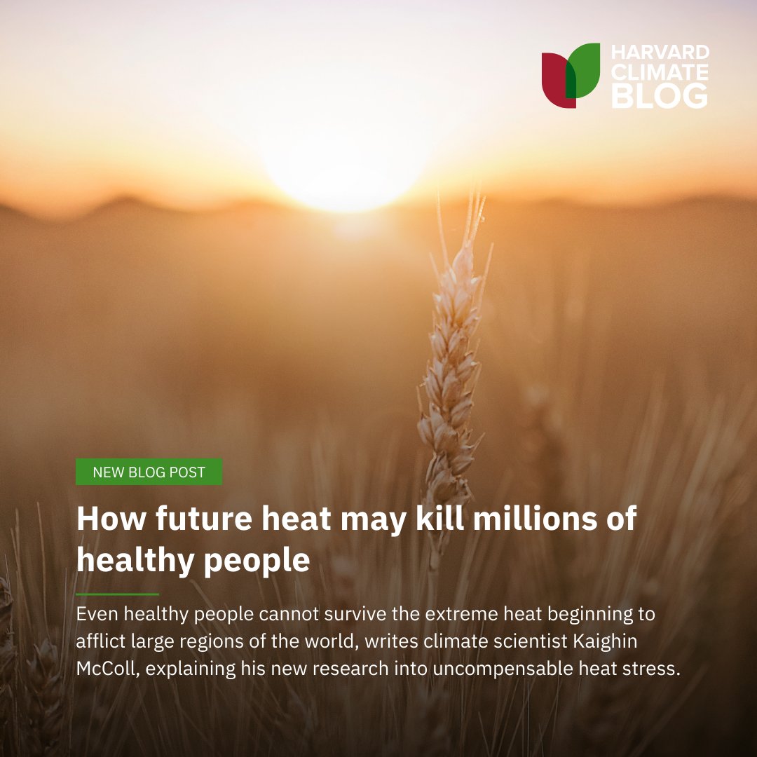 New research: Even healthy people cannot survive the extreme heat beginning to afflict large regions of the world, writes climate scientist Kaighin McColl, explaining his new research into uncompensable heat stress.

Read the Harvard Climate Blog: bit.ly/3ZB8f9w