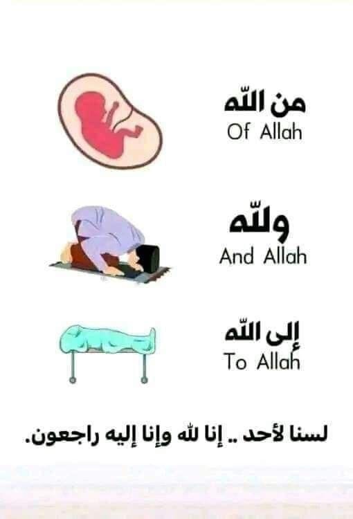 أذكار المسلم (@alqrran_) on Twitter photo 