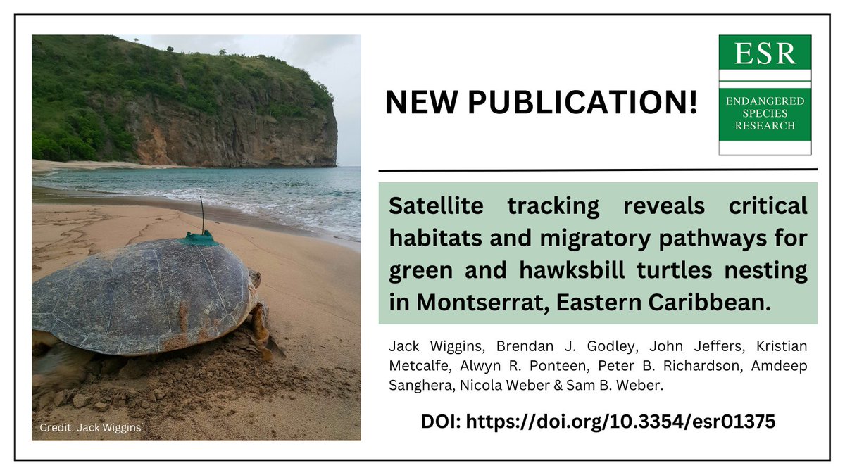🚨NEW PUBLICATION!!!🚨

Thrilled to announce the publication of our latest research paper!🐢

A massive thank you to everyone involved!
<a href="/NicolaWeber/">Dr Nicola Weber</a> @BrendanGodley @_KMETCALFE @AmdeepMCS @pb_richardson @ExeterMarine <a href="/mcsuk/">Marine Conservation Society</a> 

Check it out here: doi.org/10.3354/esr013…