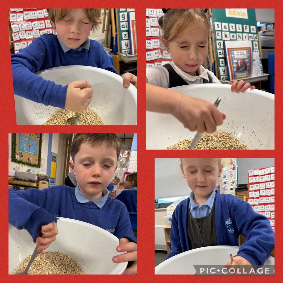 rhosstreet's tweet photo. Blwyddyn 2 worked their Christmas magic into creating reindeer food ready for Christmas Eve. #RSSnum #RSScfw #RSSwb ๐โจ ๐ซ https://t.co/p8twzXspIZ