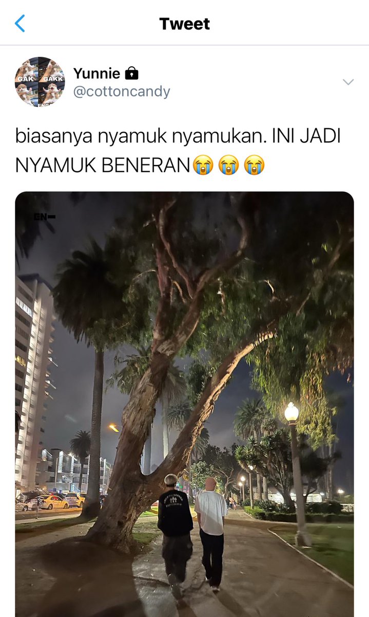 ziel tweet media