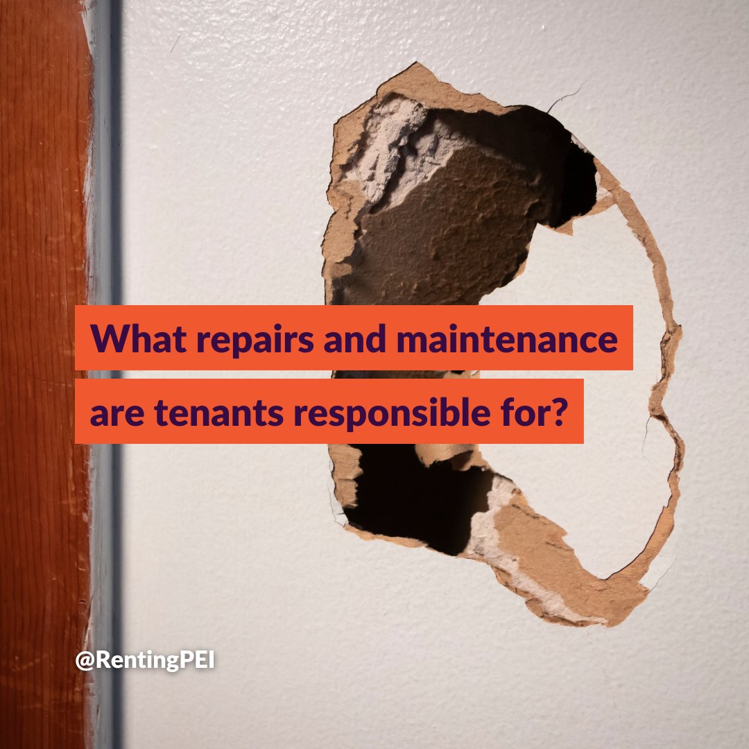 RentingPEI's tweet photo. As a tenant, you have responsibilities to keep in mind:

🏠 Keep your rental unit clean.
🛠️ If you cause damage, you’re responsible for timely repairs.
❗ You can be evicted if repairs aren’t done reasonably quickly.

You’re not responsible for normal wear &amp; tear.

#PEI #Renting https://t.co/VEuOpqbZ6T