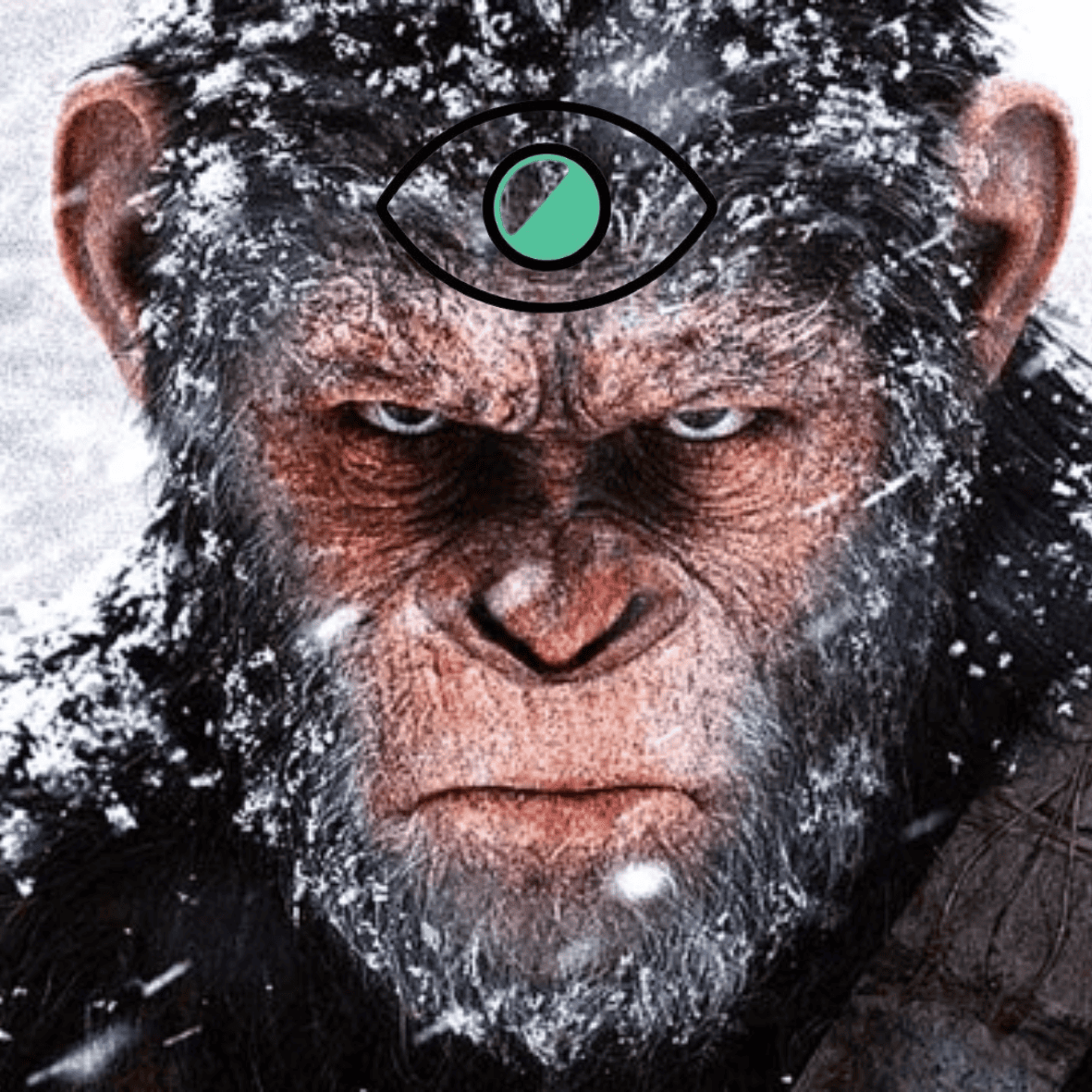 TheCryptoSpazz's tweet photo. I just aped Blink Apes on @blinkdotfun
 https://t.co/cH6PqjpVEe https://t.co/j4YBKI5RkP